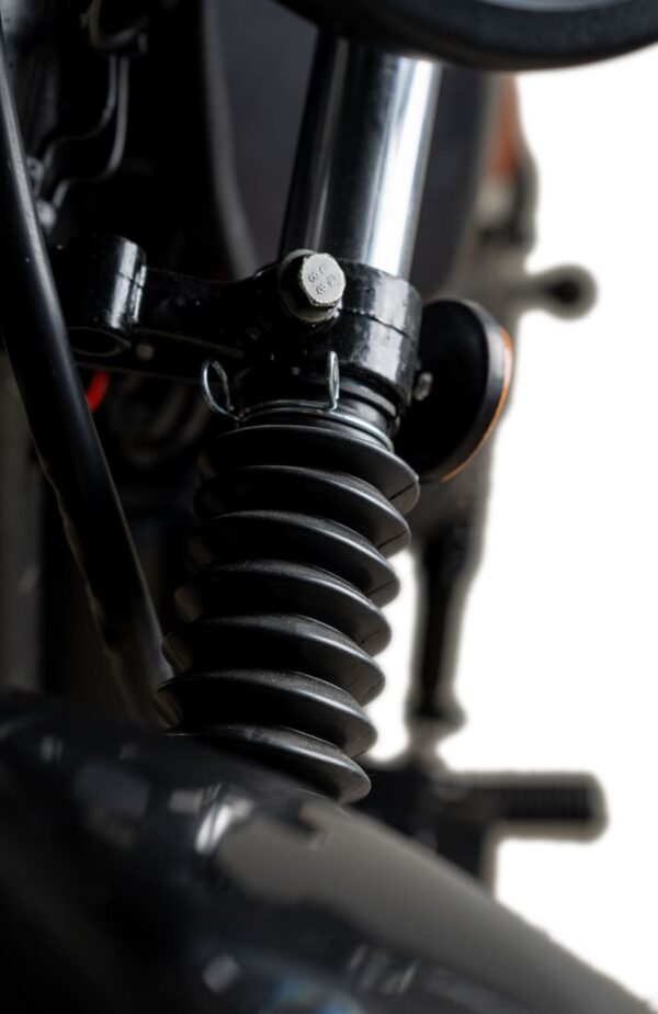 Custom - Imagen 5